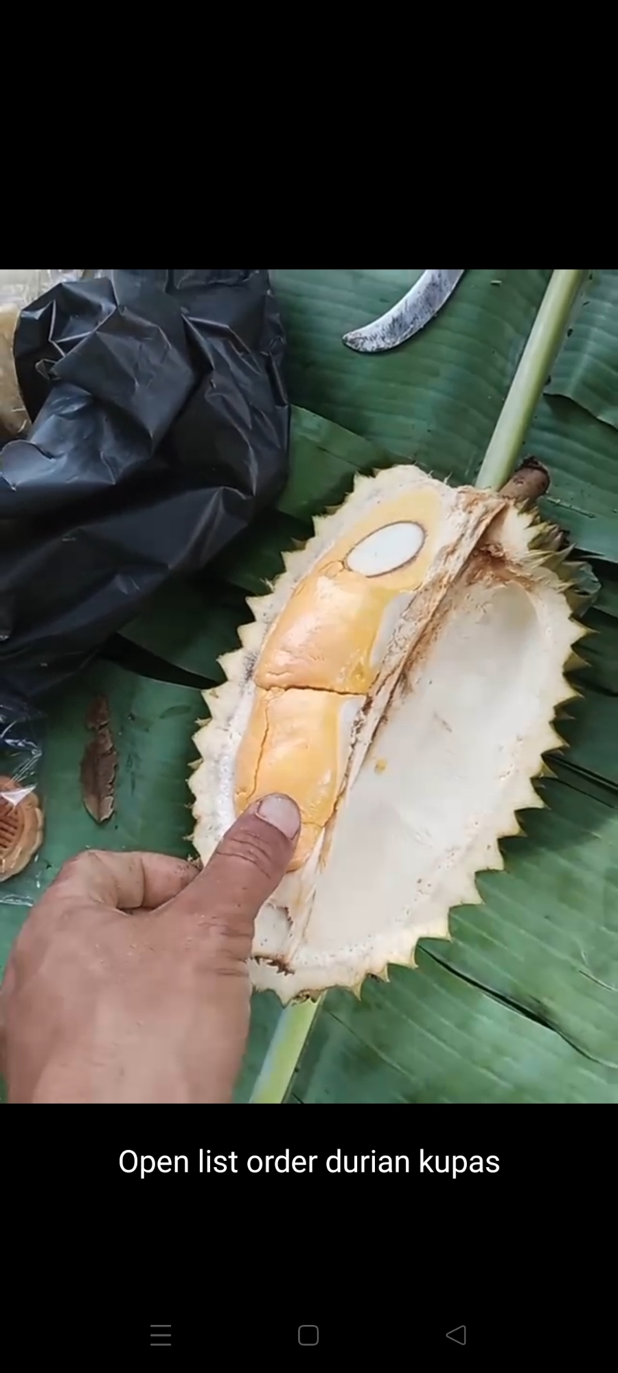 Araa